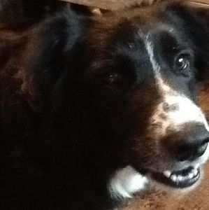 Meet your Posher, Darlene